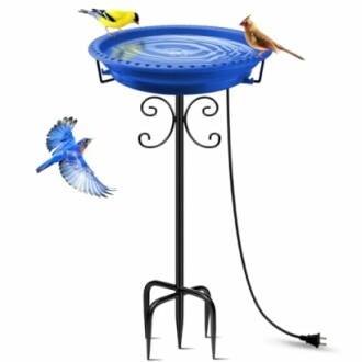 Heated bird bath with birds perched and flying.