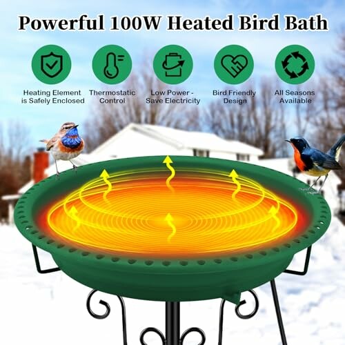 Powerful 100W heated bird bath with safety features and bird-friendly design.