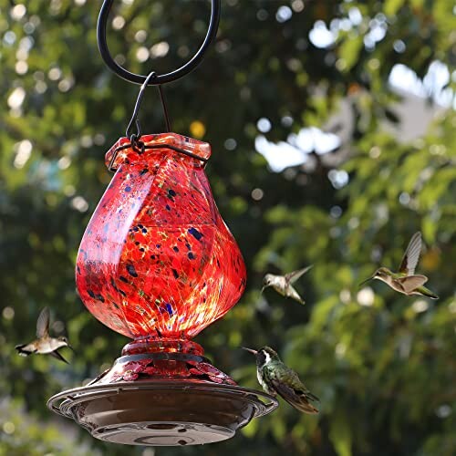 Hummingbirds feeding at a red glass bird feeder.