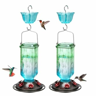 Two glass hummingbird feeders with hummingbirds flying around.