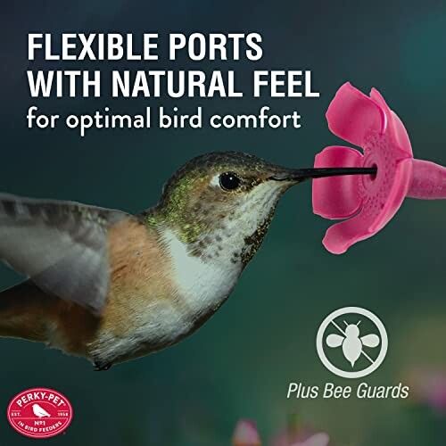 Hummingbird feeding at a flower-shaped feeder with text about flexible ports for bird comfort.