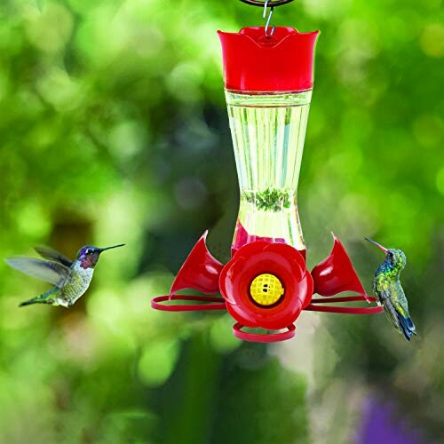 Two hummingbirds feeding at a red hummingbird feeder.