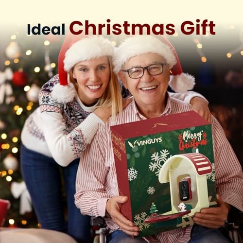 Smiling couple with Christmas gift box