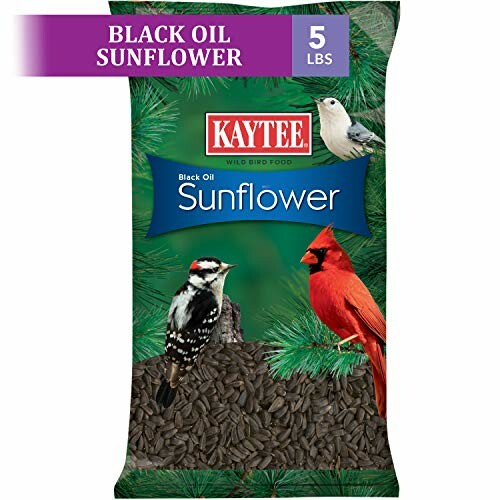 Kaytee Black Oil Sunflower bird seed bag with birds.