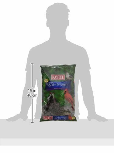 Kaytee sunflower bird seed bag with size reference.