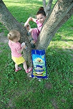 Two children sitting in a tree with bird seed bag nearby.