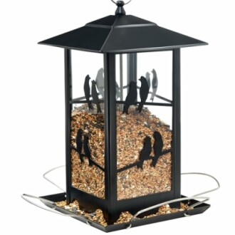 Vivace Bird Feeder