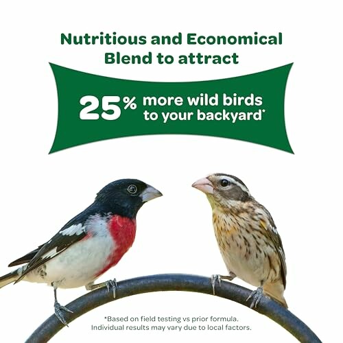 Two birds on a perch with text promoting a bird seed blend.