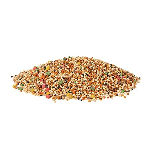 Pile of colorful bird seed mix on white background.