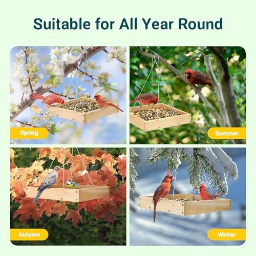 Bird feeders in different seasons: spring, summer, autumn, and winter.