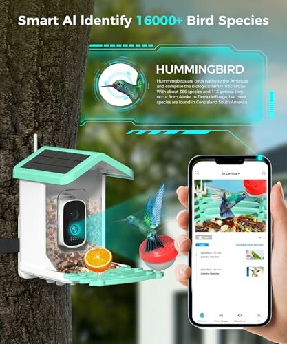 Smart AI device identifying a hummingbird with a smartphone app.