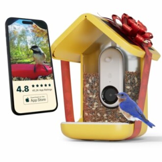 Smart bird feeder with app interface and bluebird perched.