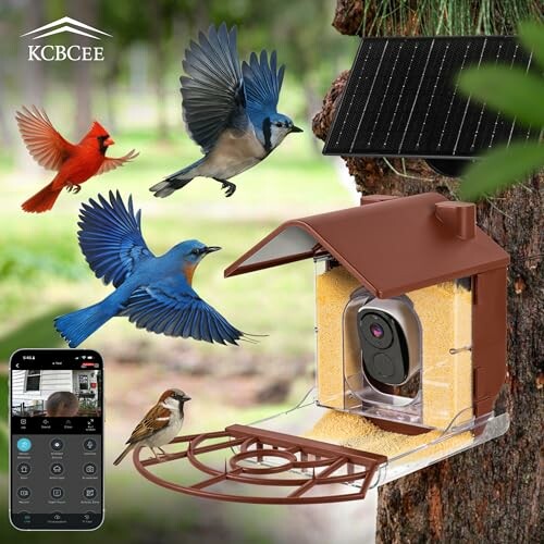 Smart bird feeder with camera and solar panel, attracting various birds.