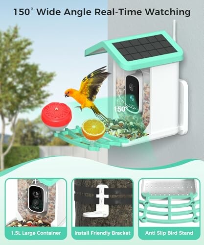 Smart bird feeder with camera and solar panel, featuring a parrot and food tray.