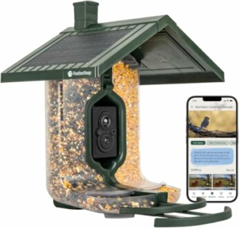 Smart bird feeder with camera and smartphone app display.