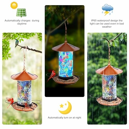 Solar-powered bird feeder with waterproof design, showing day and night use.