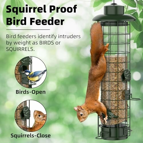 Squirrel-proof bird feeder with weight-sensitive design for birds and squirrels.