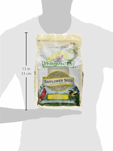 Wagner's Safflower Seed bag held by a person.