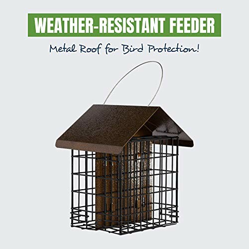 Weather-resistant bird feeder with metal roof.