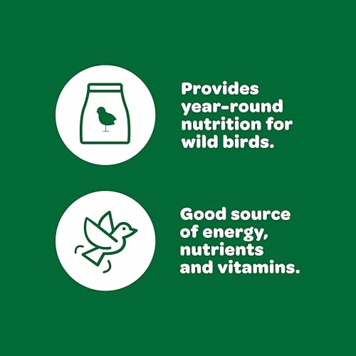 Icons showing benefits of wild bird nutrition, including year-round nutrition and energy source.