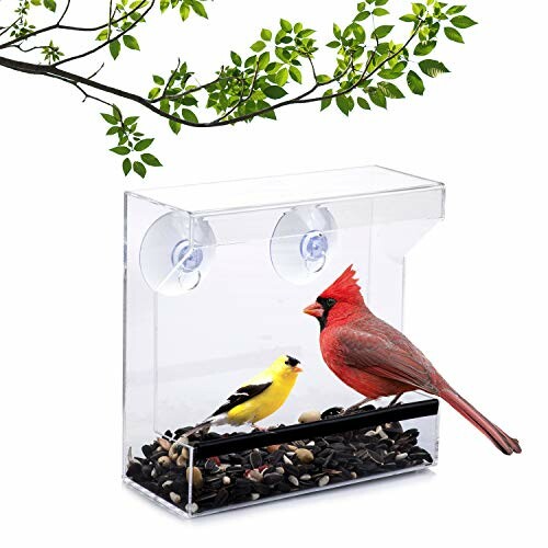 Clear window bird feeder with yellow and red birds