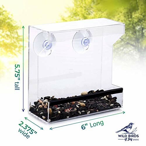 Clear window bird feeder with suction cups and bird seed.