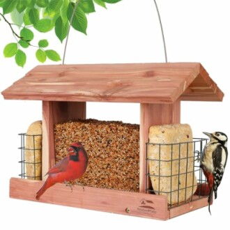 Solution4Patio Cedar Bird Feeder