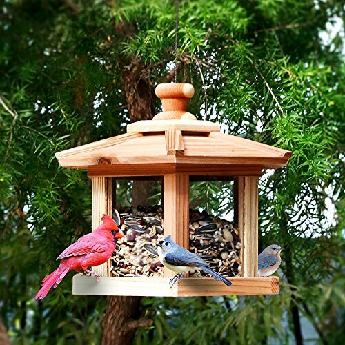 Wooden bird feeder with various birds and seeds.