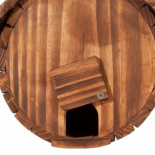 Close-up of a wooden birdhouse entrance with a small hinged door.