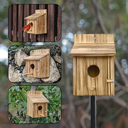 A wooden birdhouse with three side views and a bird perched on it