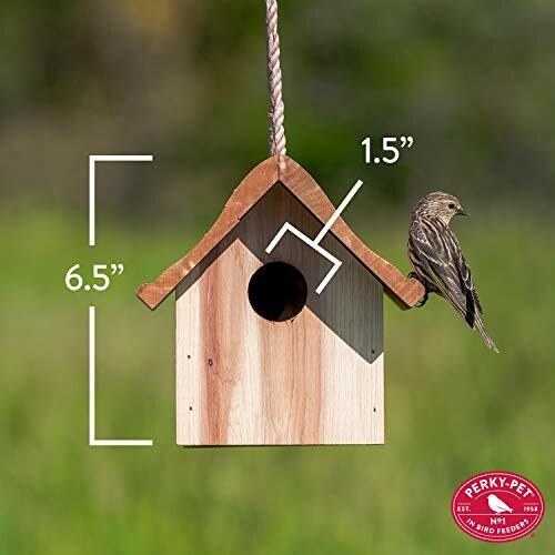 A wooden birdhouse with a bird perched on it, showing dimensions of 6.5 inches by 1.5 inches.