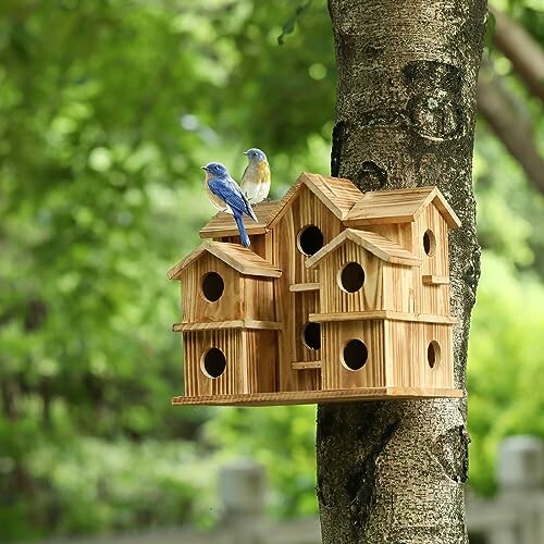 Wooden birdhouse on tree with two birds perched.