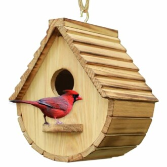 Wooden birdhouse with a red cardinal perched on it.