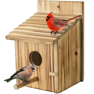 NATUREYLWL Wooden Bird House