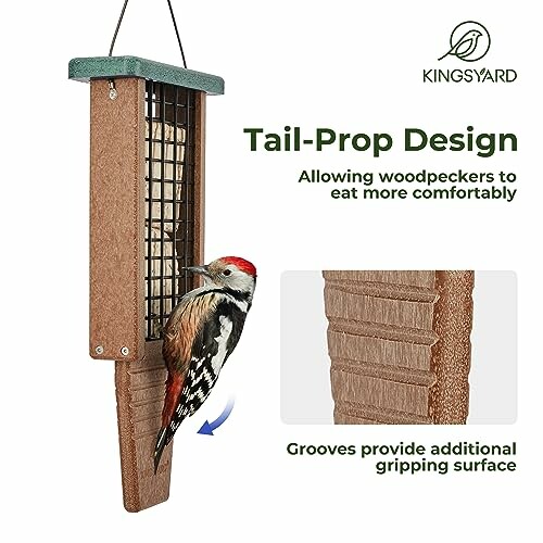 Woodpecker using tail-prop design bird feeder for comfortable eating.